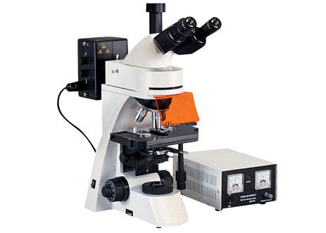 Mikroskop Fluoresensi Led Trinocular 1000X Kohler Illumination UV Light Microscope