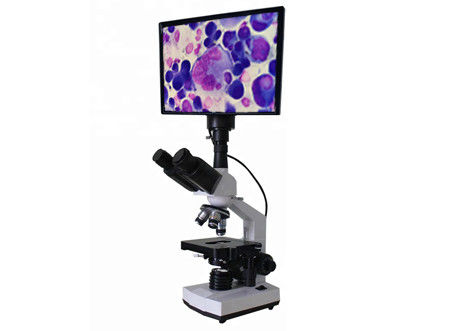 Diskusi Biologi Mikroskop LCD Diskusi Biologi Mikroskop Medan Terang WF10X 400X