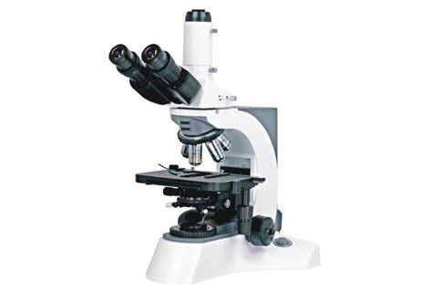 Mikroskop Biologi Lab Teropong WF10X/23mm Trinocular Kohler Illumination Microscope