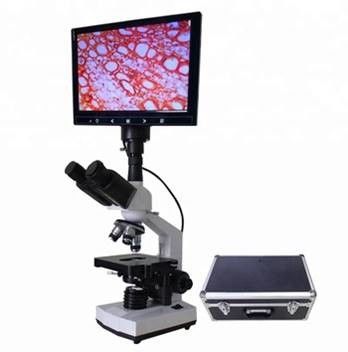 Diskusi Biologi Mikroskop LCD Diskusi Biologi Mikroskop Medan Terang WF10X 400X