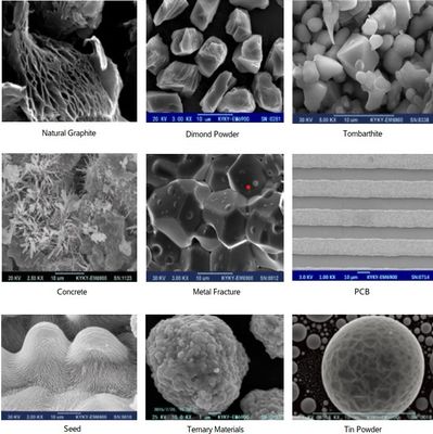 8X-300,000X Pemindaian Mikroskop Elektron Resolusi 3-6nm EBSD EBSD