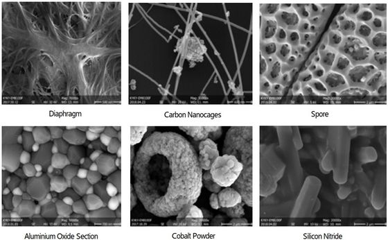 Pembesaran 6X-1000000X Pemindaian Mikroskop Elektron Resolusi 1-3nm