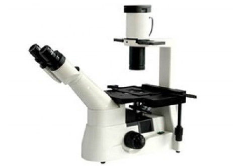 RMS Threaded Inverted Optical Microscope Light WF10X / 22mm Sel Hidup