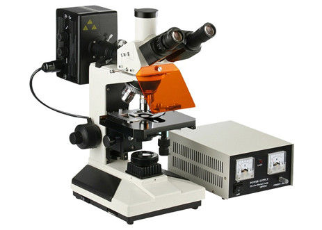 Mikroskop Lab Sains Epi-Fluoresensi 4X 100X Mikroskop Cahaya Biologi