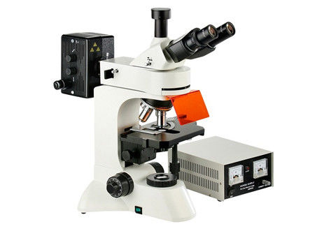 Kamera Infinity Epi Led Fluorescent Microscope WF10X Lensa Mata Penelitian Genetika