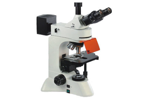 Trinocular Led Fluorescent Microscope Light 40X 1000X Mikroskop Optik UIS
