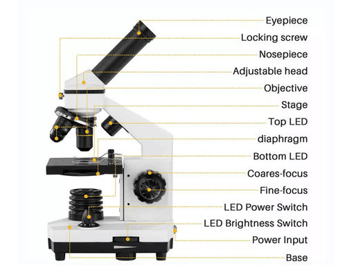 Mikroskop Biologi Siswa Drawtube Bermata 640X ODM