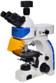 Mikroskop Lab Biologi Trinocular 40X 100X Epi Fluorescence Microscope
