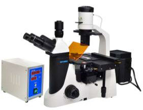 Epi LED Mikroskop Fluorescent Trinocular 40X 1000X Biologi Lab Mikroskop