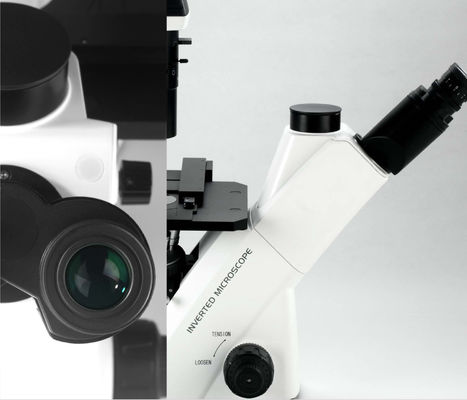 40X-400X Mikroskop Optik Terbalik WF10X 22mm Untuk Pengamatan Dan Budidaya Sel